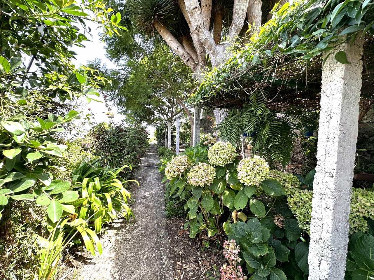 7 soverom Villa til salgs i Icod de los Vinos med garasje - € 398 000 (Ref: 10140238)