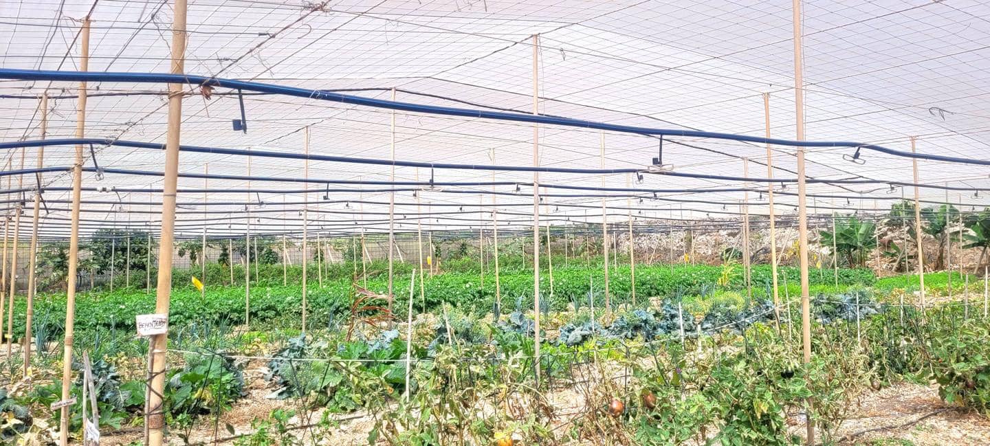 Grunde uden byggetilladelser til salg i Villa de Arico - € 1.200.000 (Ref: 7514073)