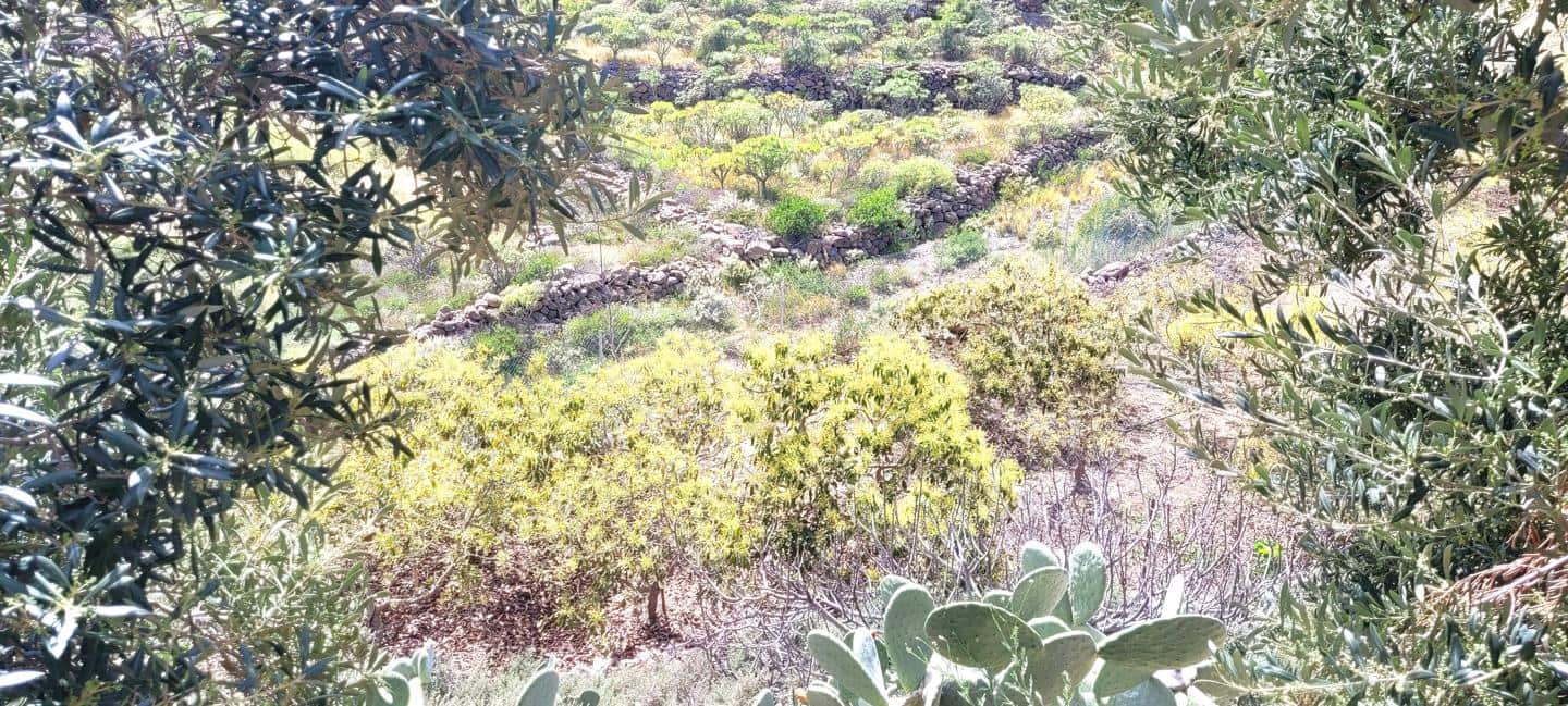 Grunde uden byggetilladelser til salg i Villa de Arico - € 1.200.000 (Ref: 7514073)