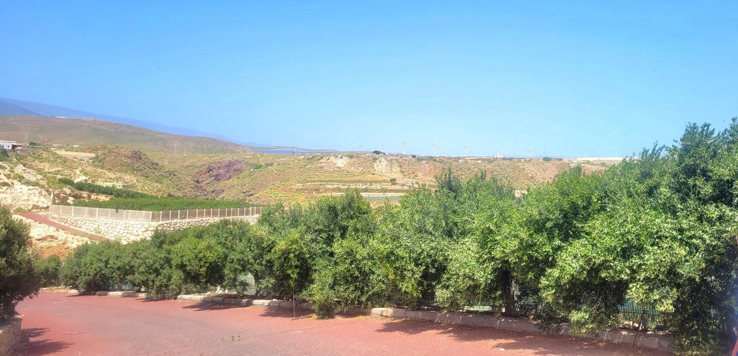 Grunde uden byggetilladelser til salg i Villa de Arico - € 1.200.000 (Ref: 7514073)