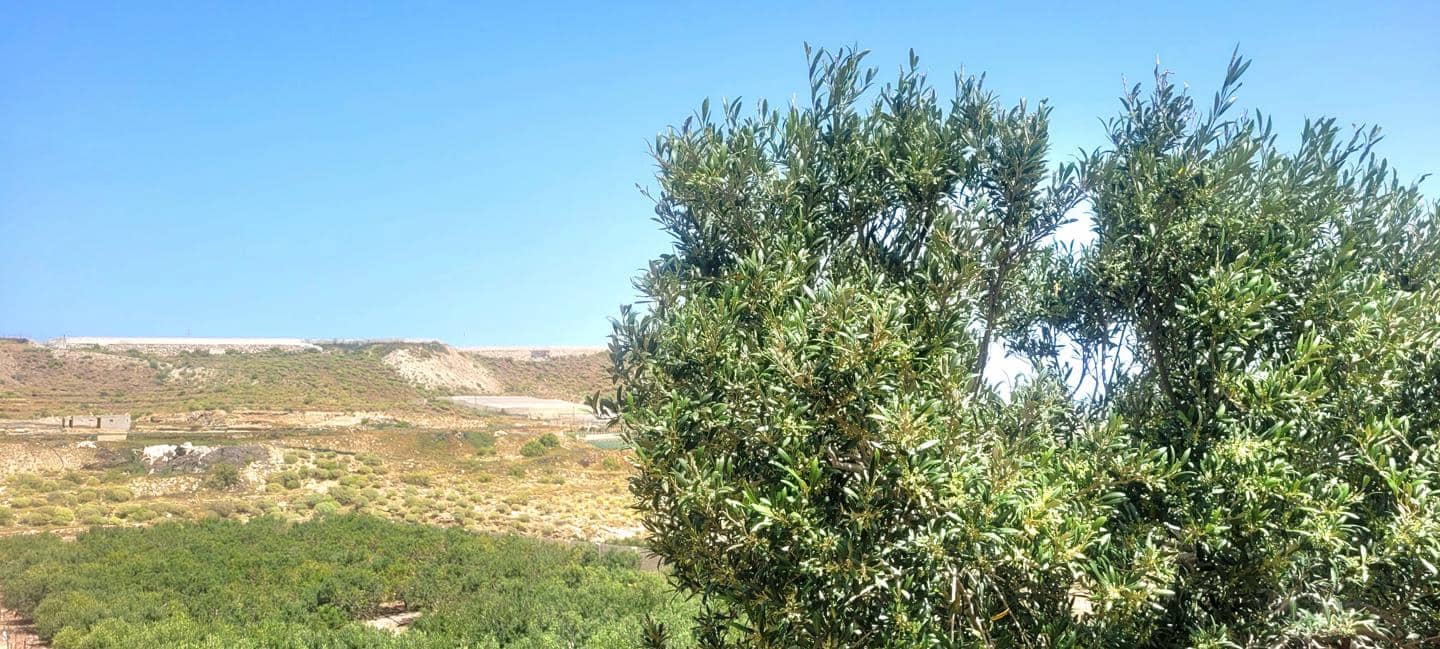 Grunde uden byggetilladelser til salg i Villa de Arico - € 1.200.000 (Ref: 7514073)