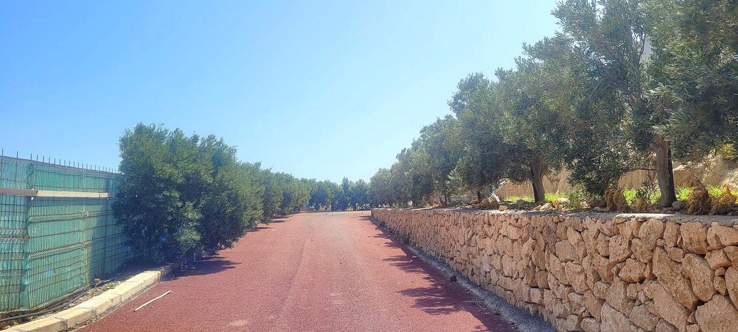 Grunde uden byggetilladelser til salg i Villa de Arico - € 1.200.000 (Ref: 7514073)