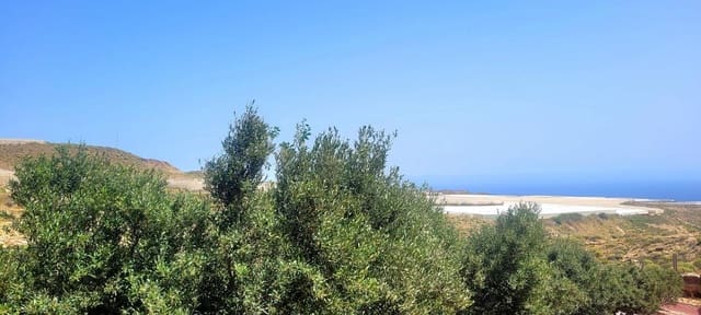 Terre non Aménagée à vendre à Villa de Arico, Arico - 1 200 000 € (Ref: 7514073)
