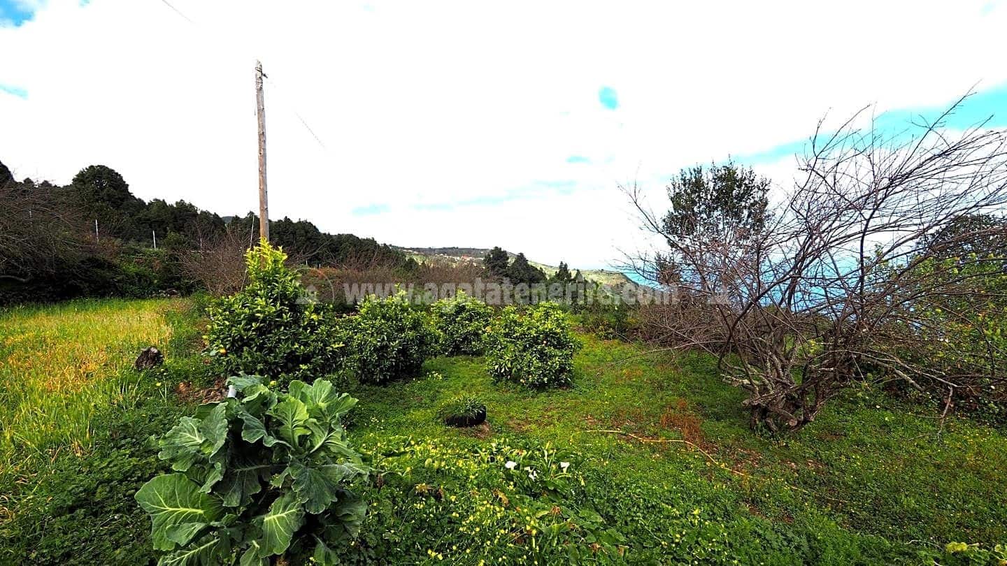 5 soveværelse Finca/Landehus til salg i Icod de los Vinos - € 225.000 (Ref: 8152223)