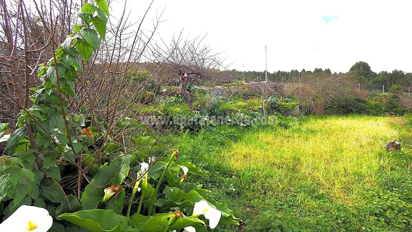 5 soveværelse Finca/Landehus til salg i Icod de los Vinos - € 225.000 (Ref: 8152223)