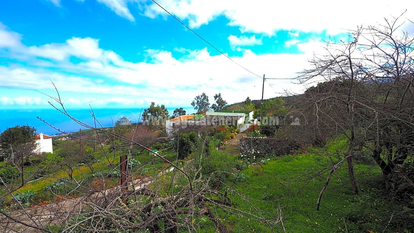 5 soveværelse Finca/Landehus til salg i Icod de los Vinos - € 225.000 (Ref: 8152223)