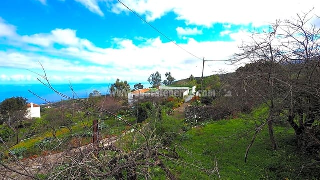 5 slaapkamer Finca/Landhuis te koop in Icod de los Vinos - € 225.000 (Ref: 8152223)