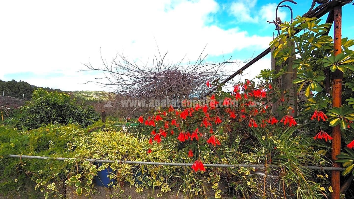 5 soveværelse Finca/Landehus til salg i Icod de los Vinos - € 225.000 (Ref: 8152223)