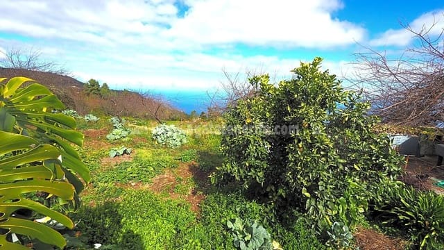 5 slaapkamer Finca/Landhuis te koop in Icod de los Vinos - € 225.000 (Ref: 8152223)