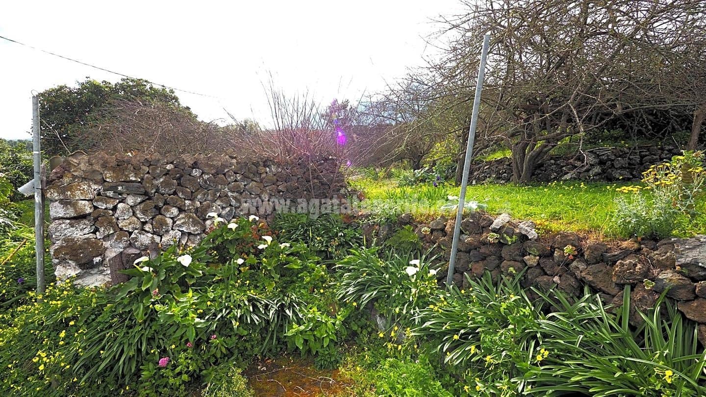 5 soveværelse Finca/Landehus til salg i Icod de los Vinos - € 225.000 (Ref: 8152223)