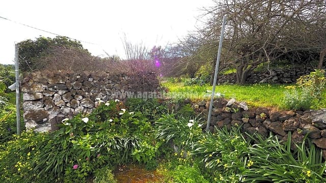 5 slaapkamer Finca/Landhuis te koop in Icod de los Vinos - € 225.000 (Ref: 8152223)