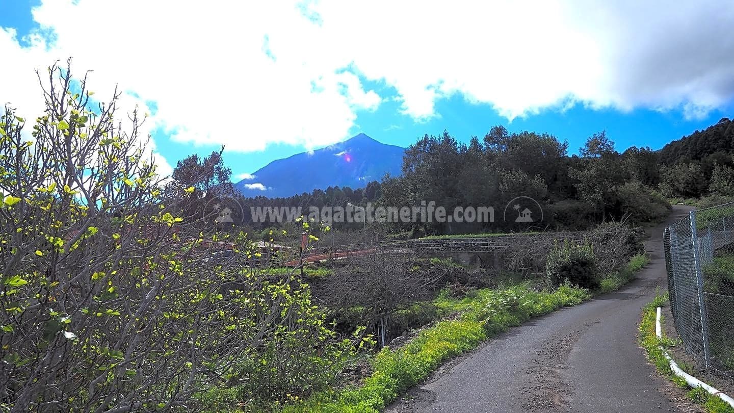 5 soveværelse Finca/Landehus til salg i Icod de los Vinos - € 225.000 (Ref: 8152223)