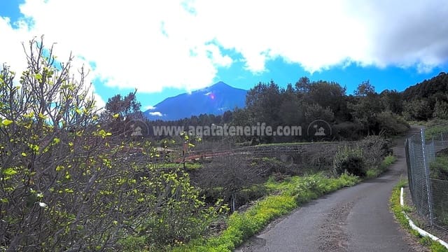 5 slaapkamer Finca/Landhuis te koop in Icod de los Vinos - € 225.000 (Ref: 8152223)