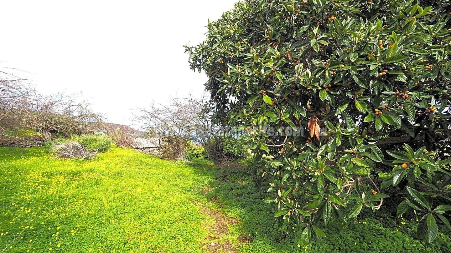 5 soveværelse Finca/Landehus til salg i Icod de los Vinos - € 225.000 (Ref: 8152223)