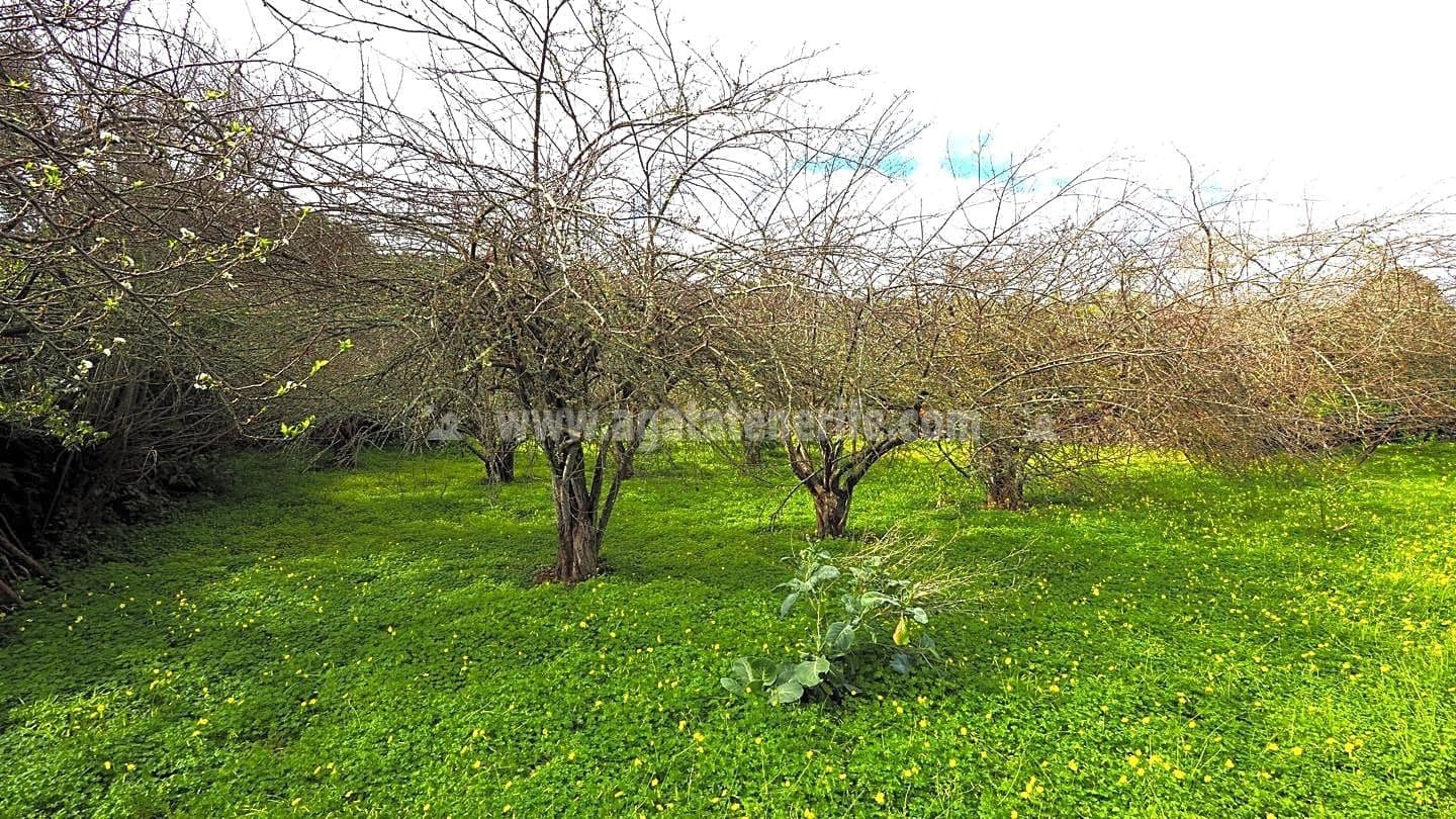 5 soveværelse Finca/Landehus til salg i Icod de los Vinos - € 225.000 (Ref: 8152223)