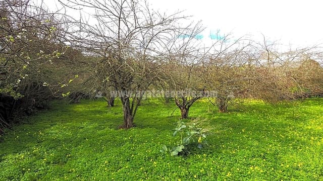 5 slaapkamer Finca/Landhuis te koop in Icod de los Vinos - € 225.000 (Ref: 8152223)