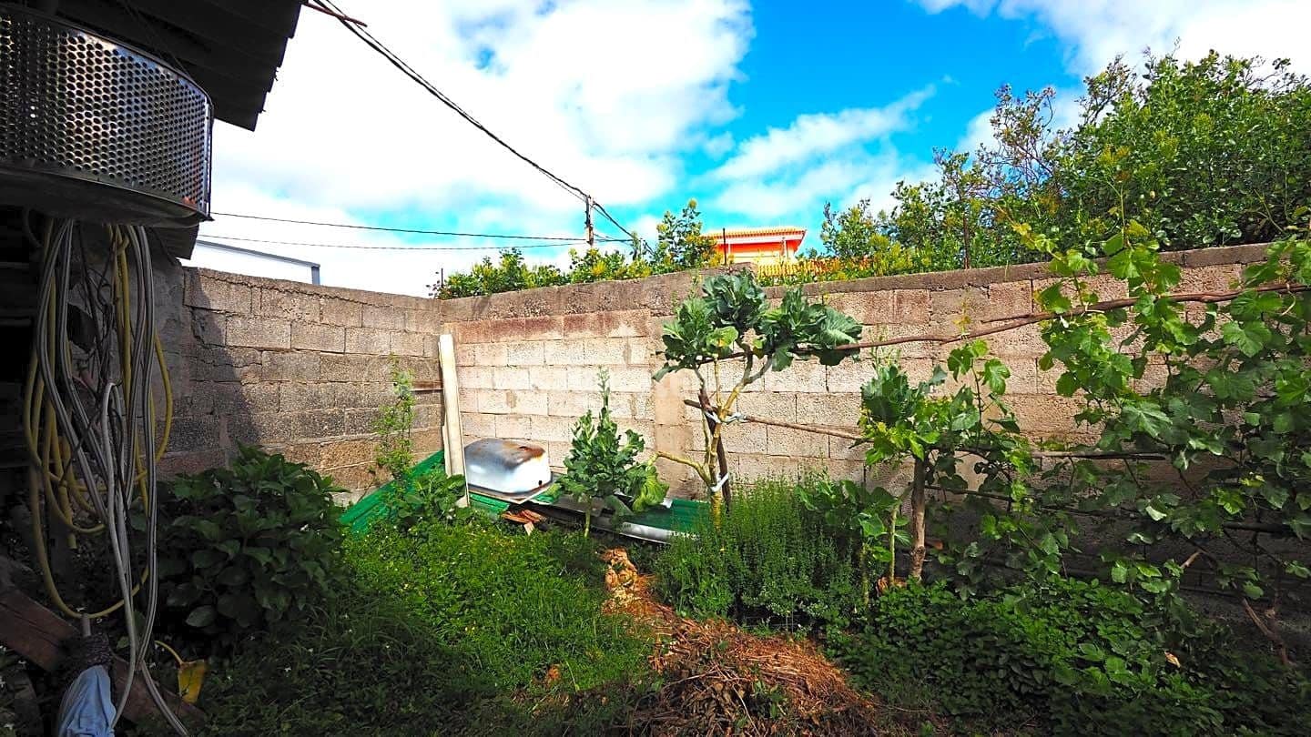 6 soverom Finca/Herregård til salgs i Icod de los Vinos - € 179 000 (Ref: 8271848)