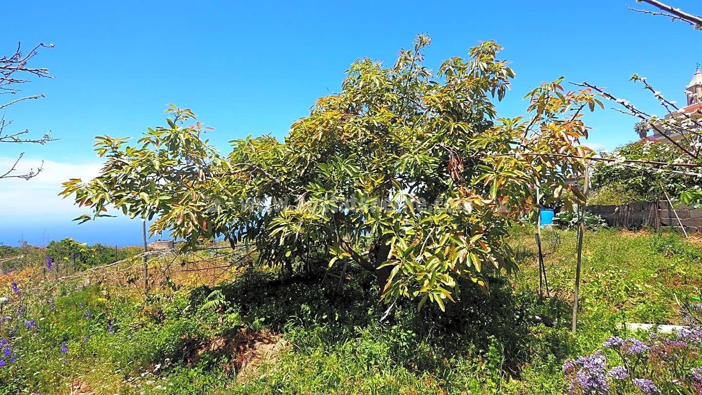 4 Zimmer Villa zu verkaufen in La Guancha mit Garage - 380.000 € (Ref: 8283601)