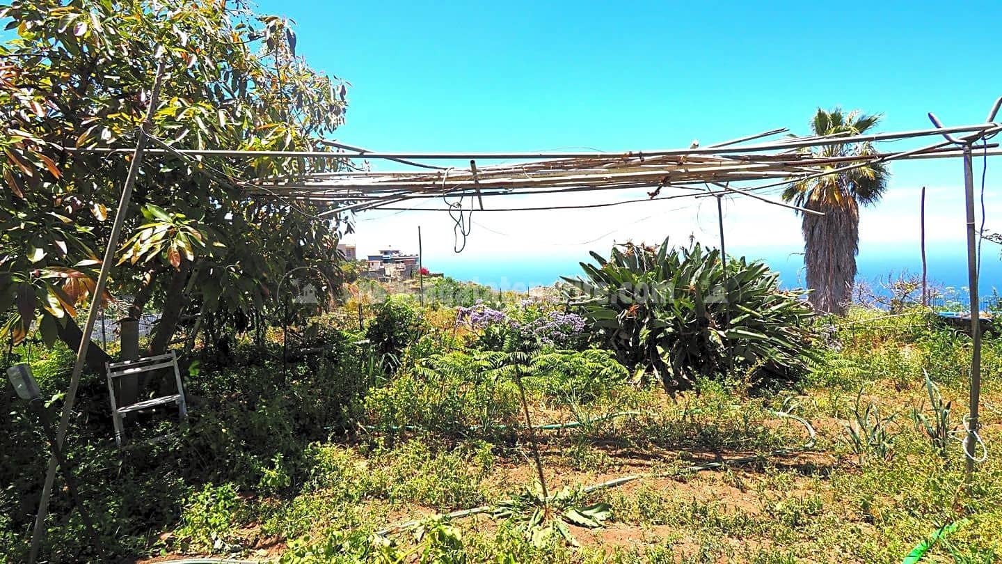 4 Zimmer Villa zu verkaufen in La Guancha mit Garage - 380.000 € (Ref: 8283601)