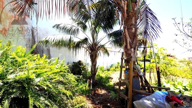 Chalet de 4 habitaciones en La Guancha en venta con garaje - 380.000 € (Ref: 8283601)