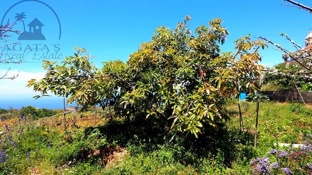 Chalet de 4 habitaciones en La Guancha en venta con garaje - 380.000 € (Ref: 8283601)