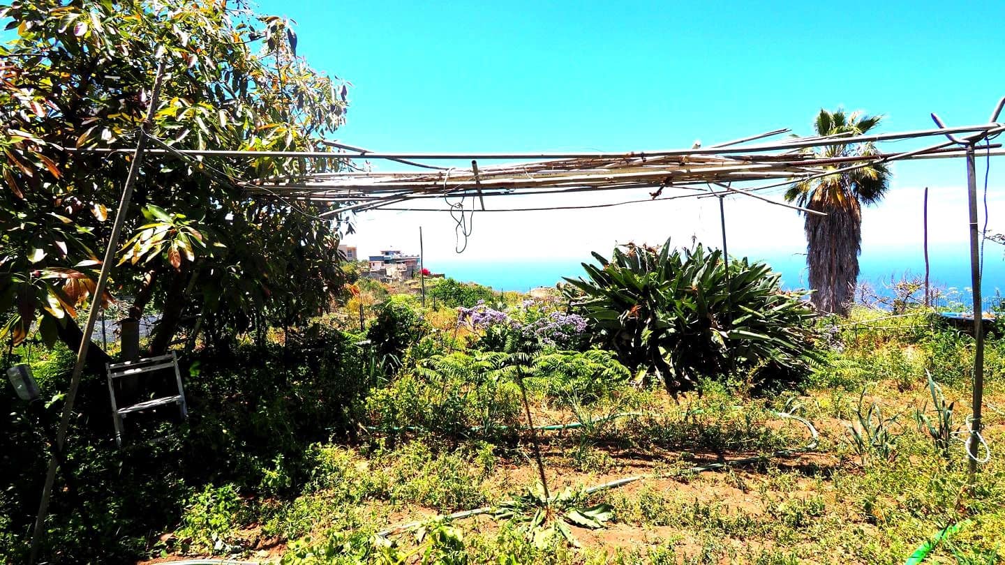 4 slaapkamer Villa te koop in La Guancha met garage - € 380.000 (Ref: 8283601)