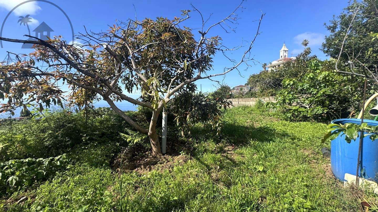 4 slaapkamer Villa te koop in La Guancha met garage - € 380.000 (Ref: 8283601)