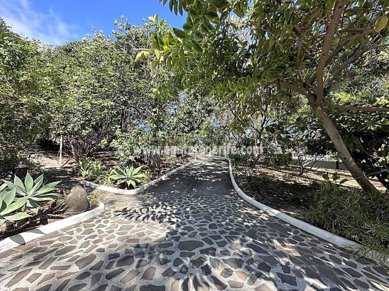 7 soveværelse Finca/Landehus til salg i Buenavista del Norte med swimmingpool garage - € 1.940.000 (Ref: 8292093)