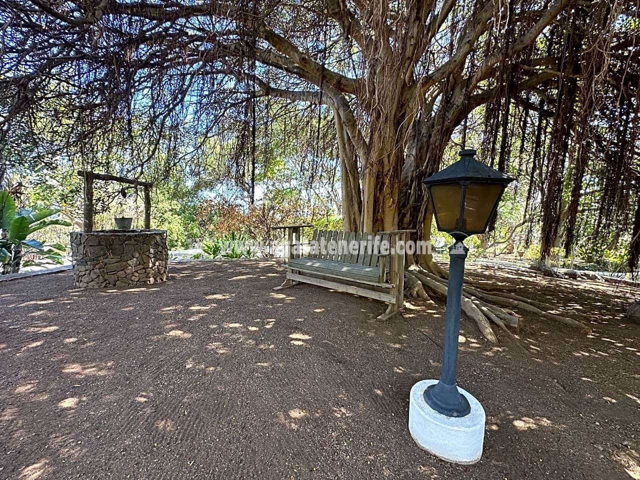 7 soveværelse Finca/Landehus til salg i Buenavista del Norte med swimmingpool garage - € 1.940.000 (Ref: 8292093)