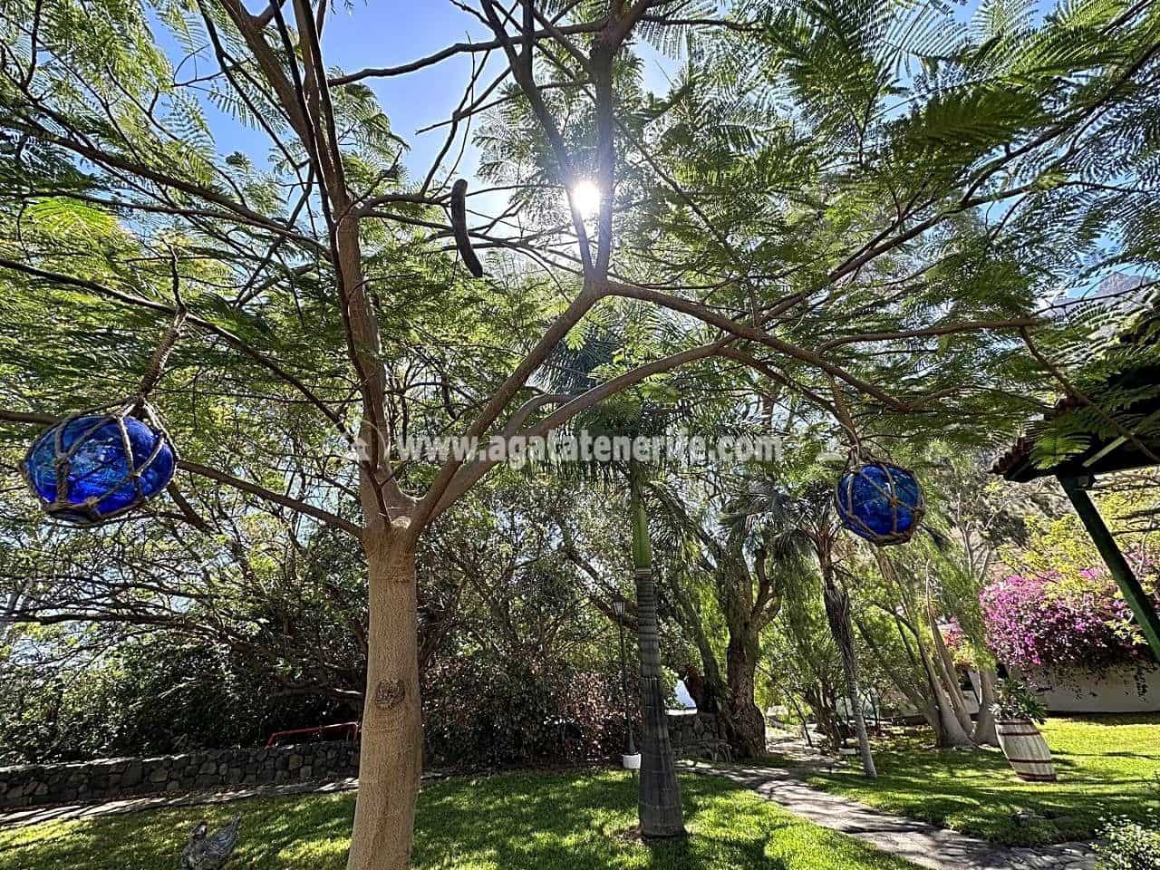 7 soveværelse Finca/Landehus til salg i Buenavista del Norte med swimmingpool garage - € 1.940.000 (Ref: 8292093)