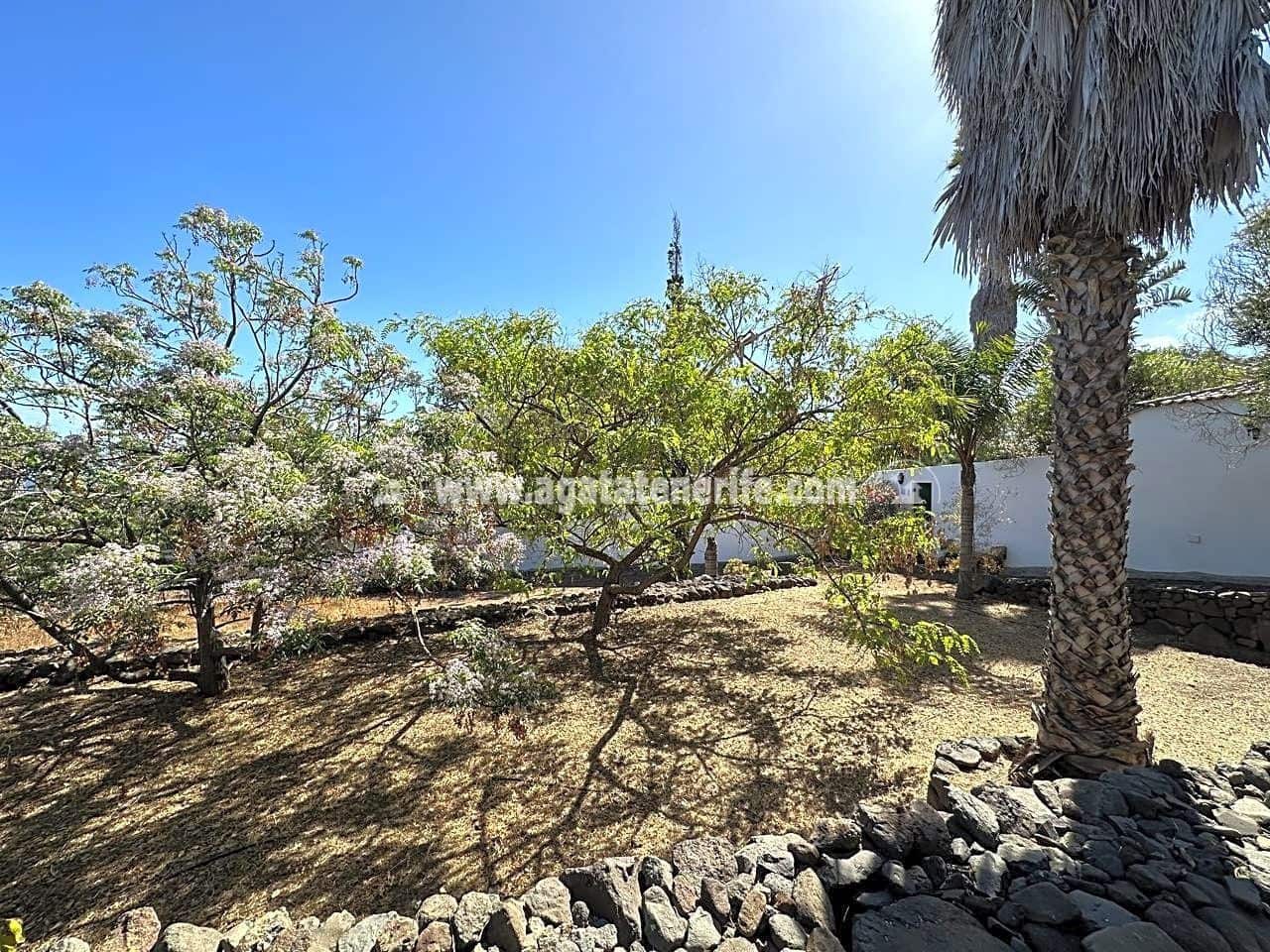 7 soveværelse Finca/Landehus til salg i Buenavista del Norte med swimmingpool garage - € 1.940.000 (Ref: 8292093)