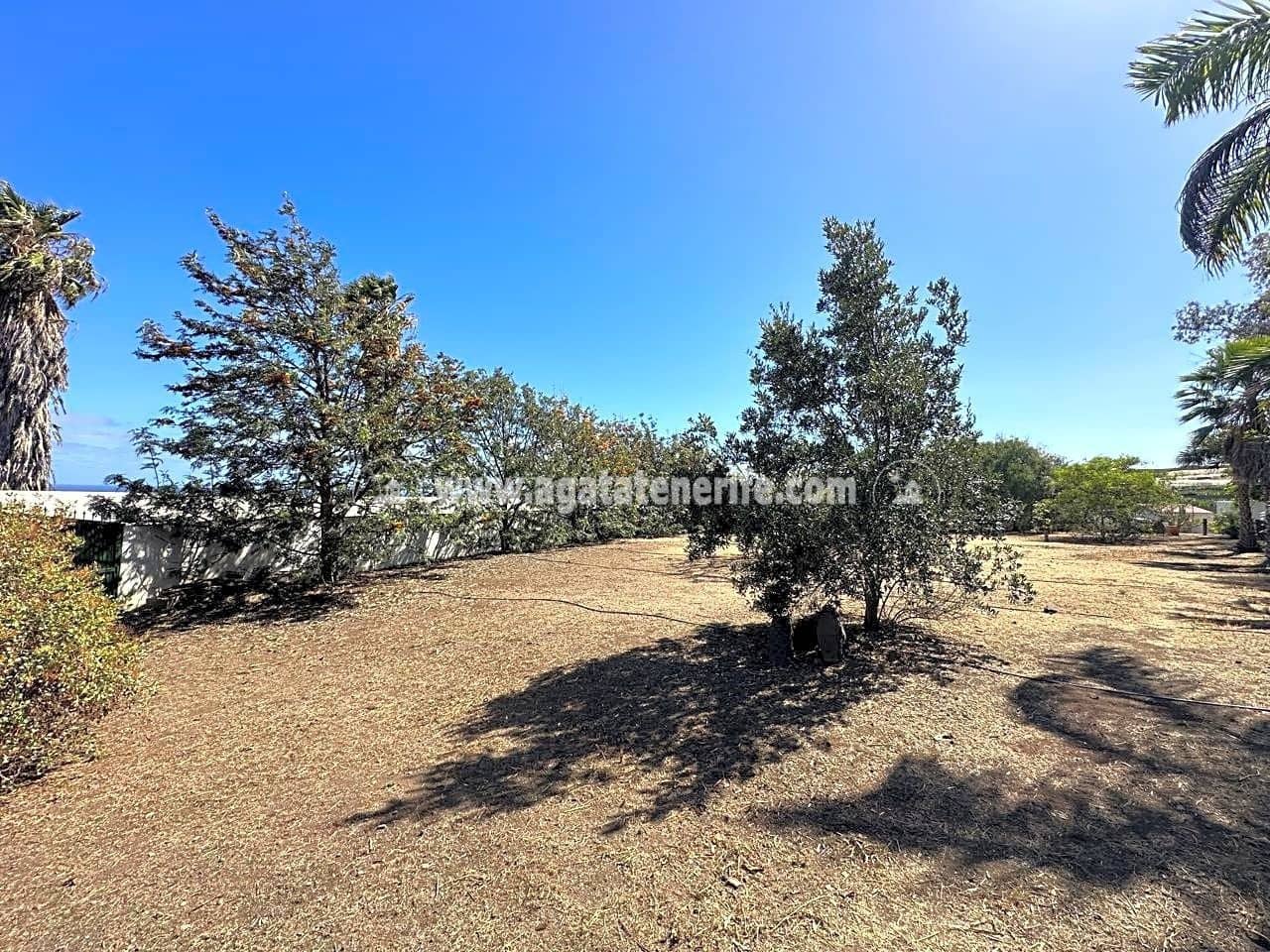 7 soveværelse Finca/Landehus til salg i Buenavista del Norte med swimmingpool garage - € 1.940.000 (Ref: 8292093)