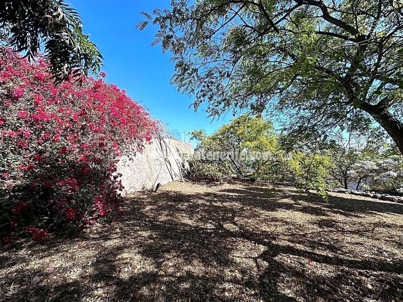 7 soveværelse Finca/Landehus til salg i Buenavista del Norte med swimmingpool garage - € 1.940.000 (Ref: 8292093)