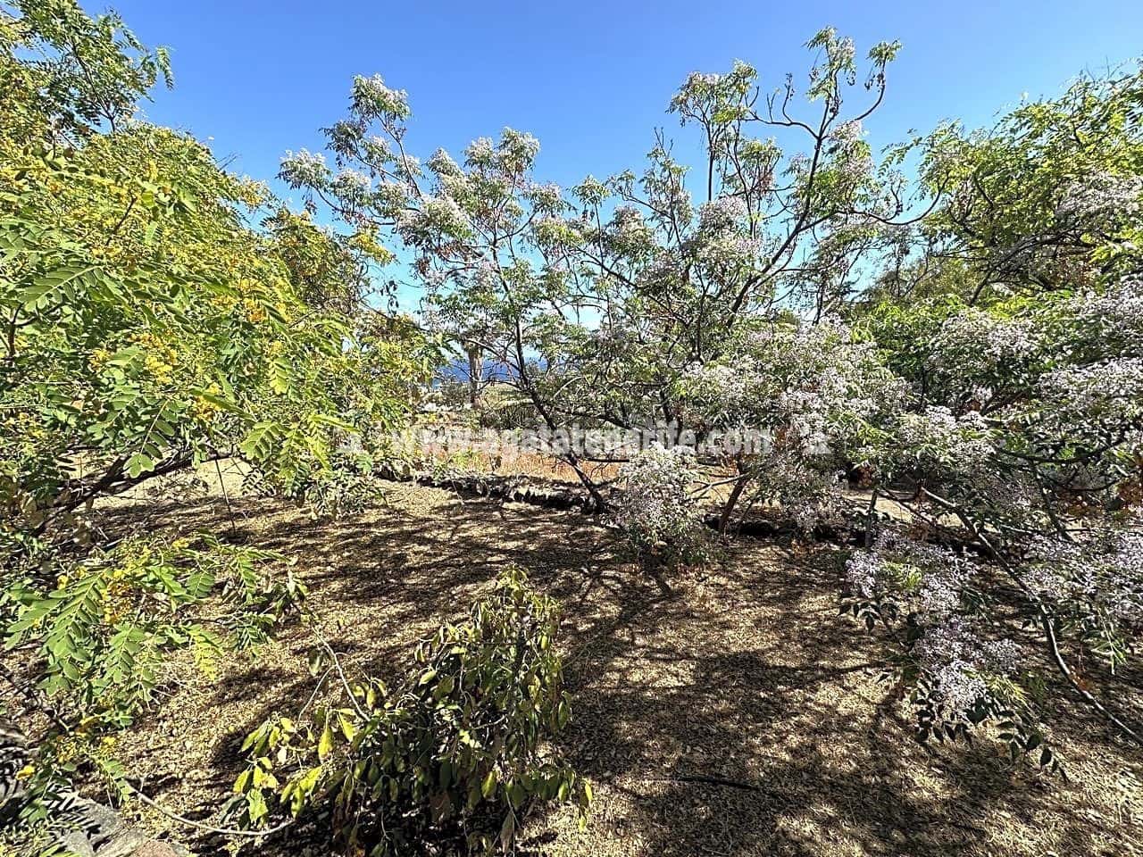 7 soveværelse Finca/Landehus til salg i Buenavista del Norte med swimmingpool garage - € 1.940.000 (Ref: 8292093)