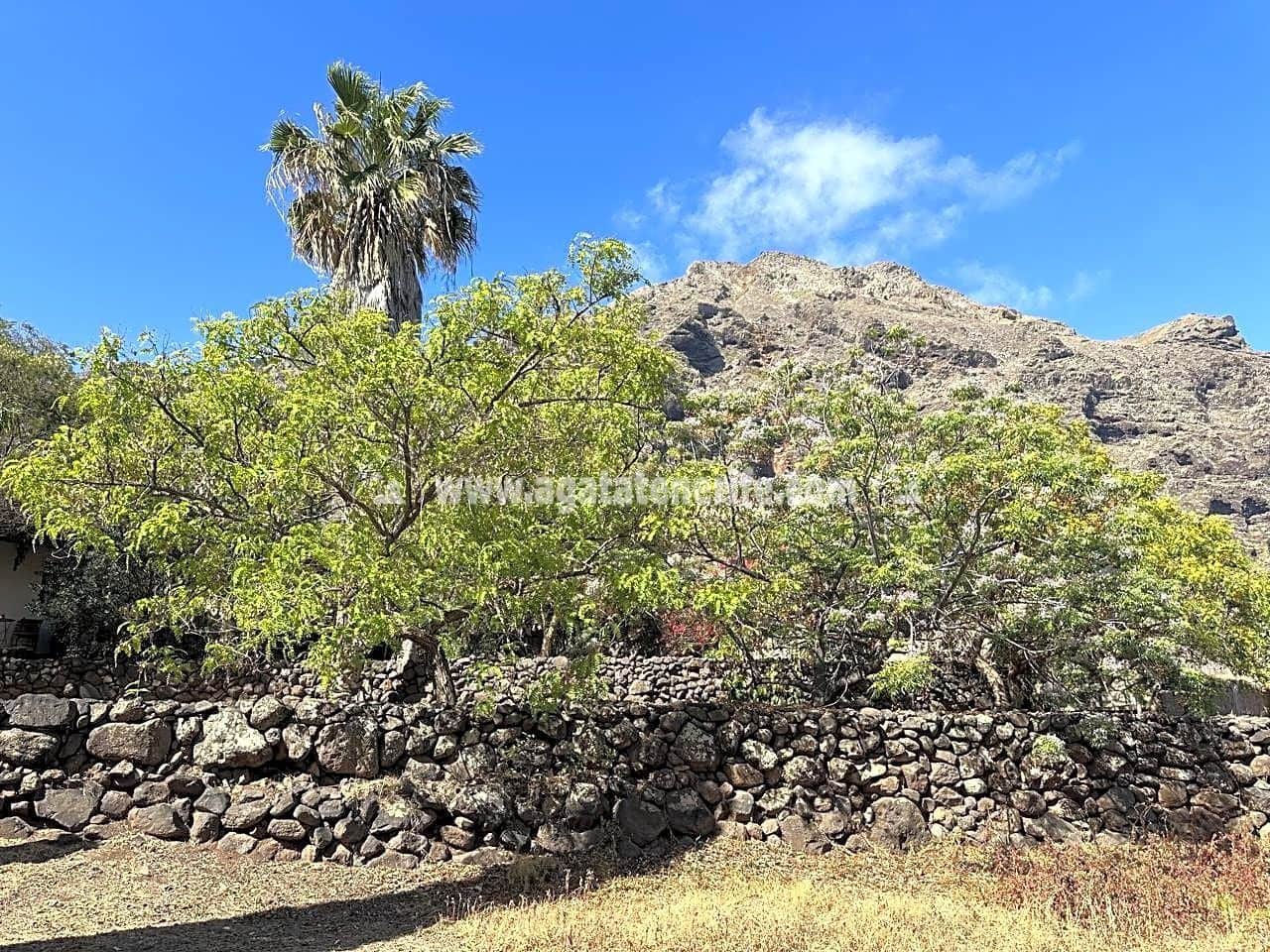 7 soveværelse Finca/Landehus til salg i Buenavista del Norte med swimmingpool garage - € 1.940.000 (Ref: 8292093)