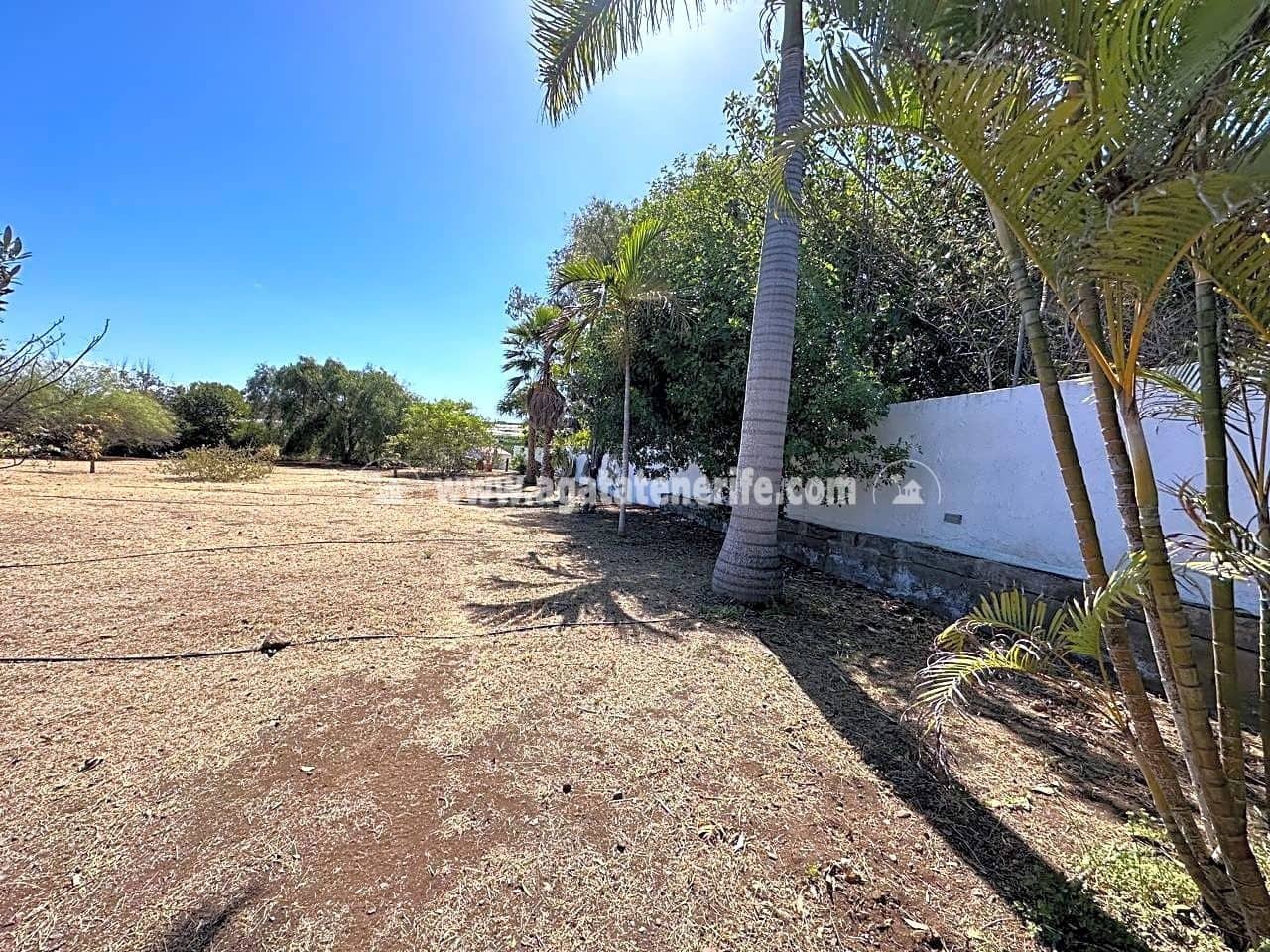 7 soveværelse Finca/Landehus til salg i Buenavista del Norte med swimmingpool garage - € 1.940.000 (Ref: 8292093)