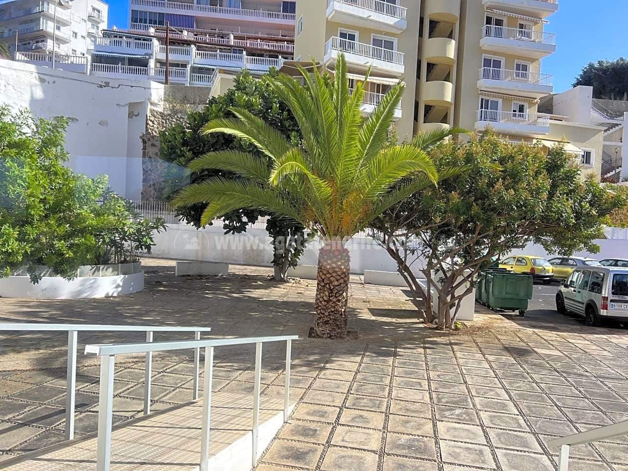 1 bedroom Flat for rent in Icod de los Vinos - € 750 (Ref: 8348639)
