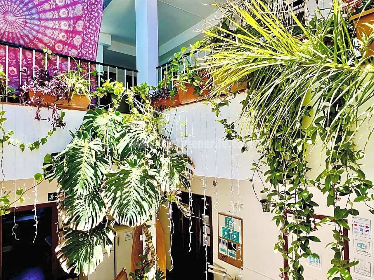 6 chambre Villa/Maison à vendre à Puerto de la Cruz - 600 000 € (Ref: 8454334)