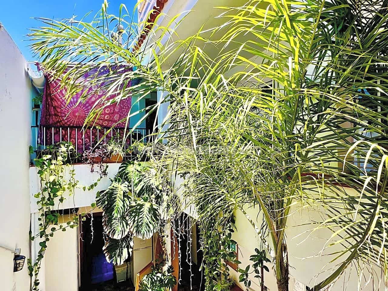 6 chambre Villa/Maison à vendre à Puerto de la Cruz - 600 000 € (Ref: 8454334)