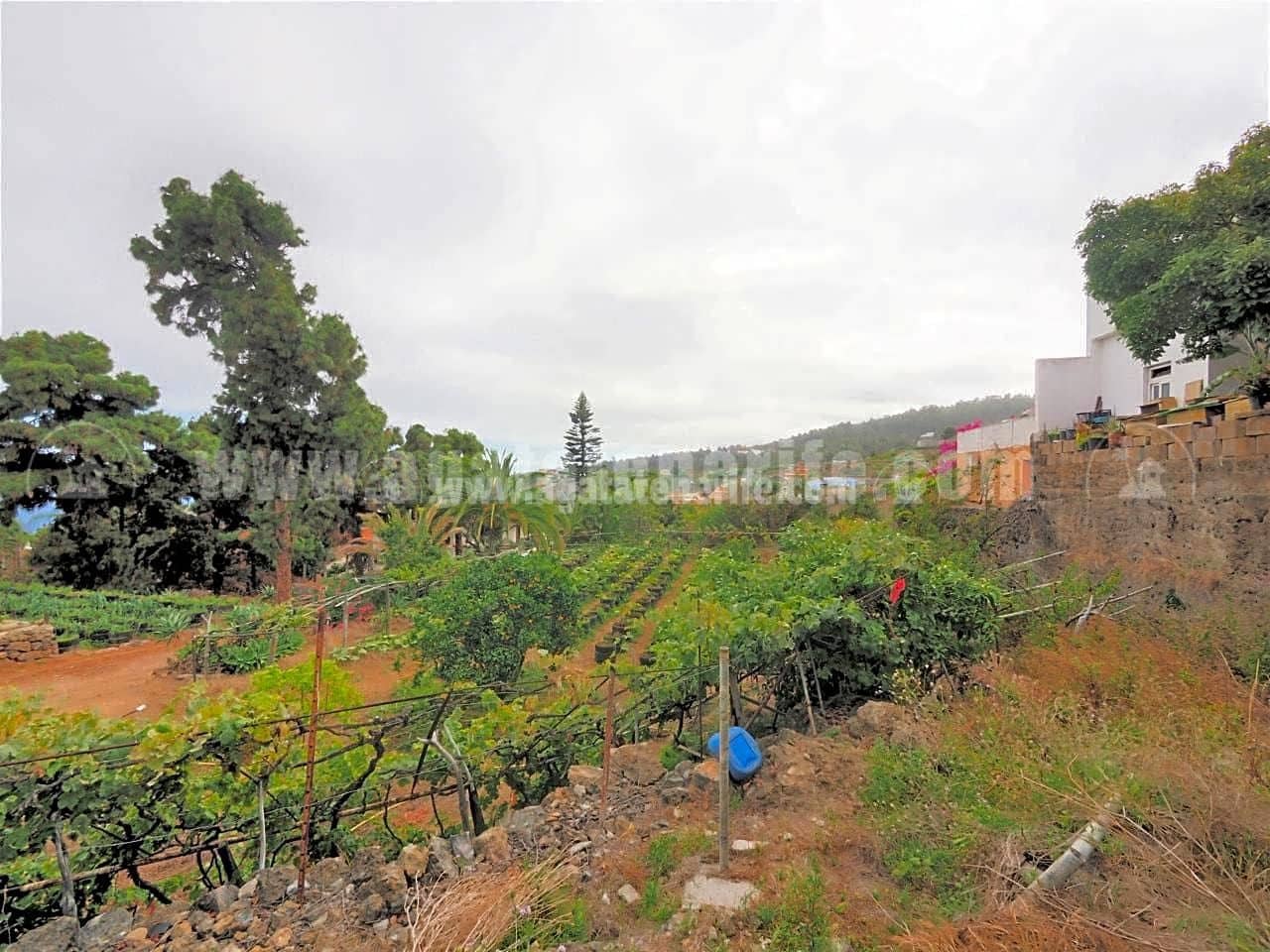 3 bedroom Finca/Country House for sale in Icod de los Vinos - € 460,000 (Ref: 8500056)