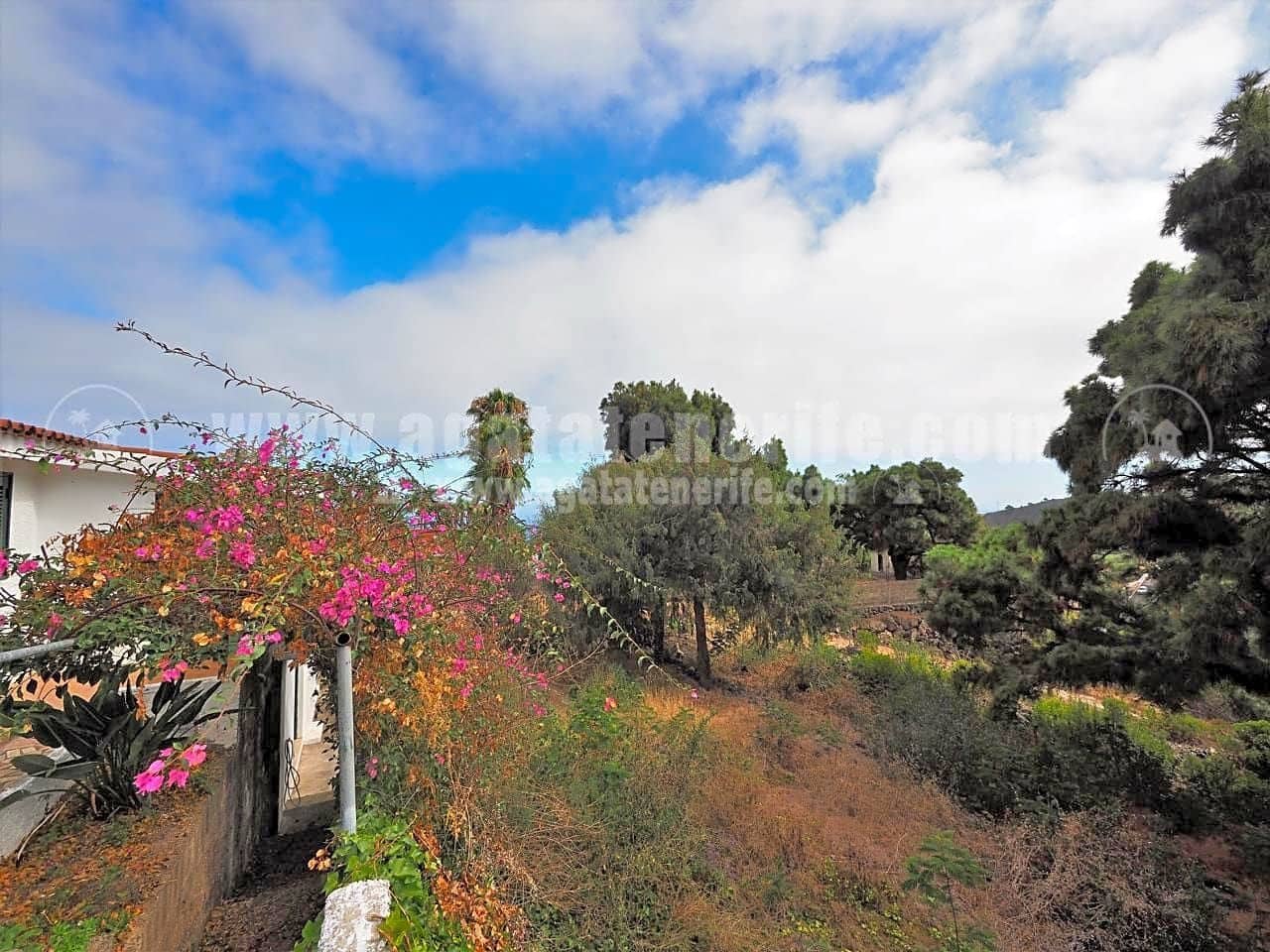 3 bedroom Finca/Country House for sale in Icod de los Vinos - € 460,000 (Ref: 8500056)