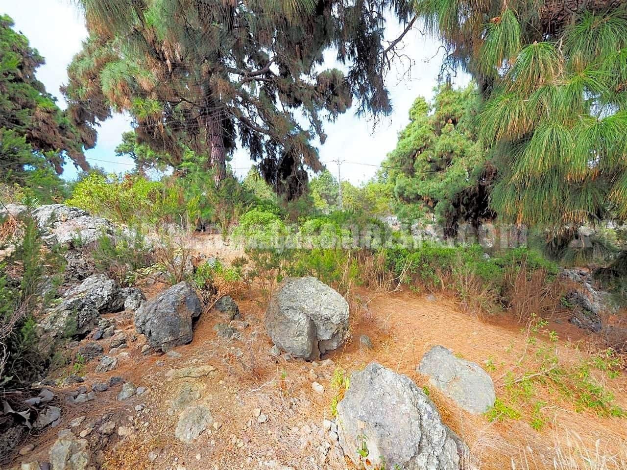 3 bedroom Finca/Country House for sale in Icod de los Vinos - € 460,000 (Ref: 8500056)