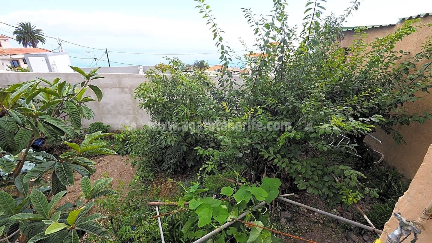 1 soverom Finca/Herregård til salgs i Icod de los Vinos - € 145 000 (Ref: 8541331)