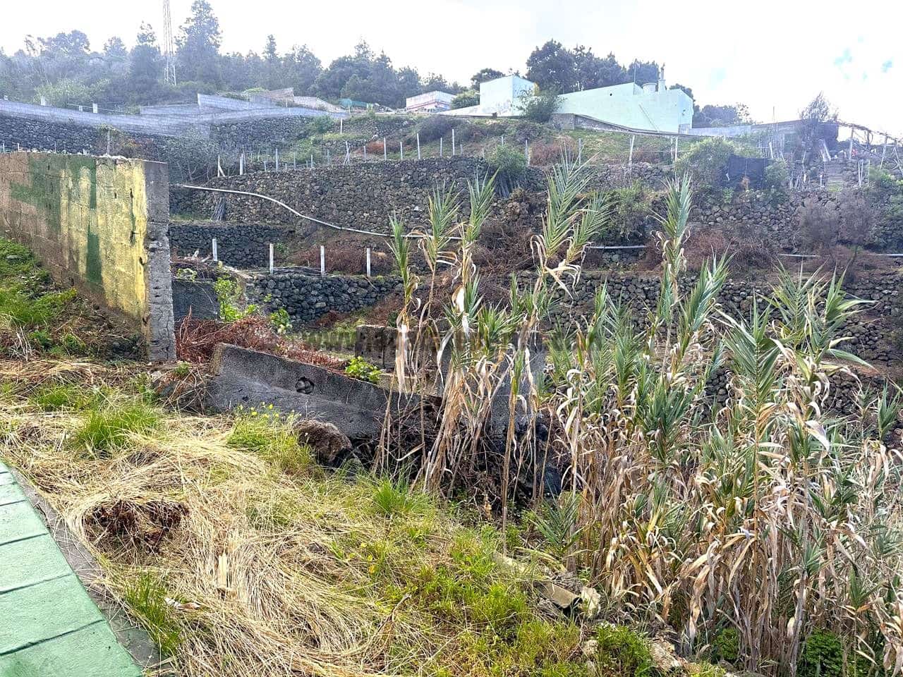 5 camera da letto Finca/Casa di Campagna in vendita in Icod de los Vinos con garage - 245.000 € (Rif: 8755252)