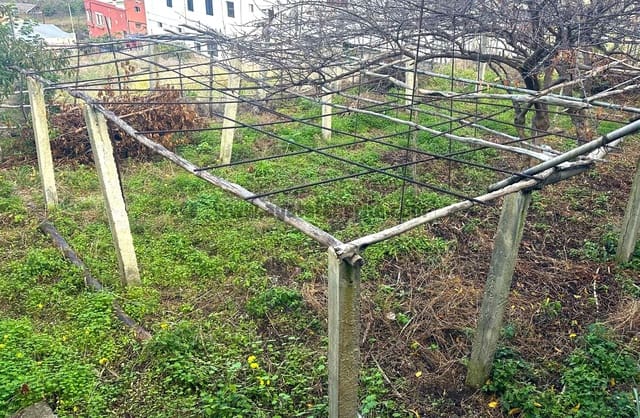 5 soverom Finca/Herregård til salgs i Icod de los Vinos med garasje - € 245 000 (Ref: 8755252)