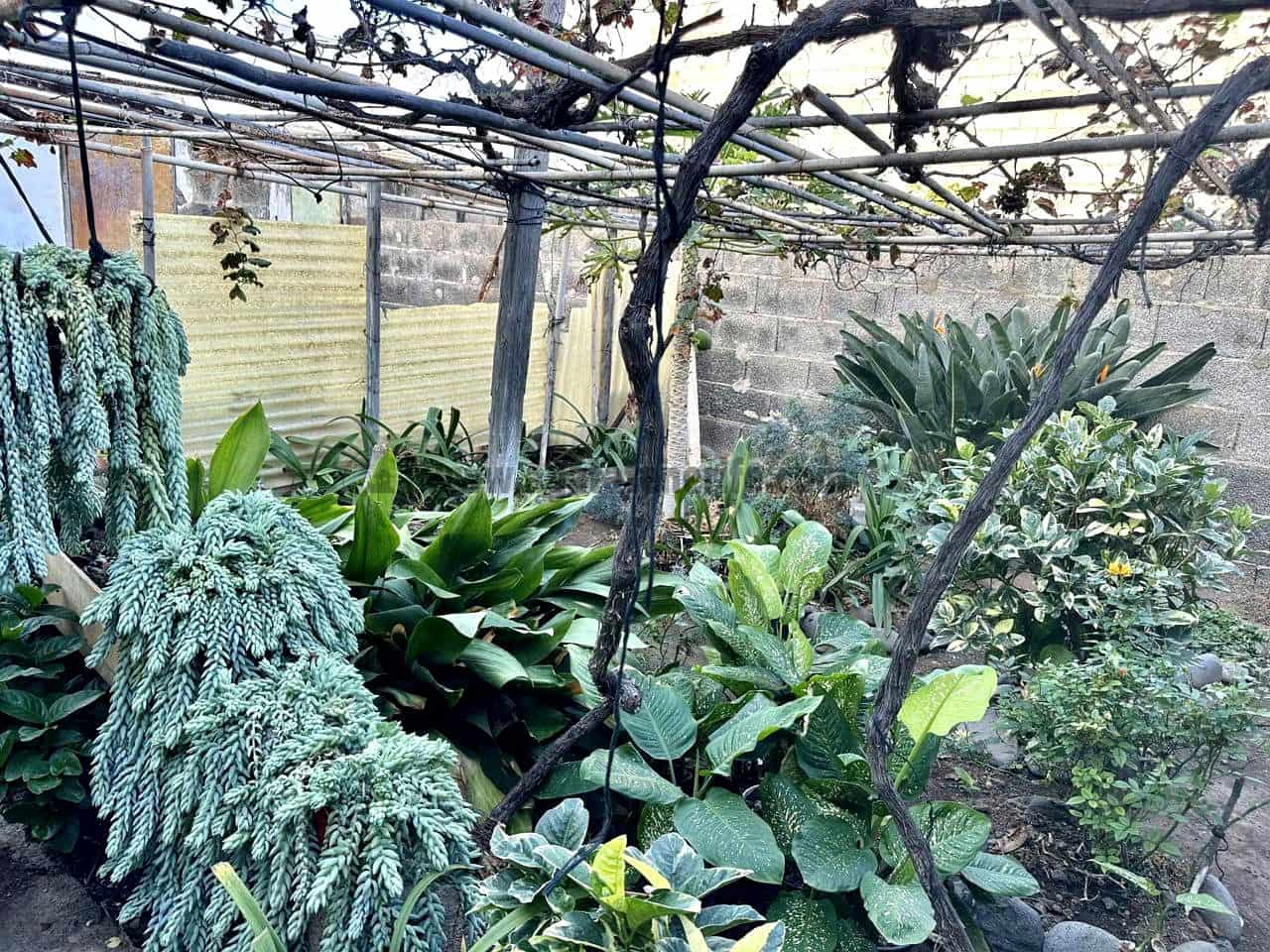 4 soveværelse Villa til salg i Los Silos med garage - € 315.000 (Ref: 8814212)