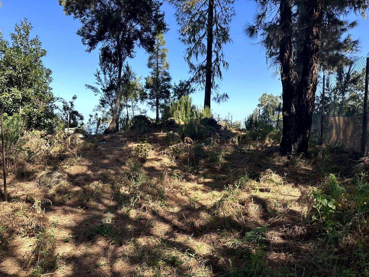 3 soverom Finca/Herregård til salgs i Icod de los Vinos med garasje - € 134 000 (Ref: 8814213)