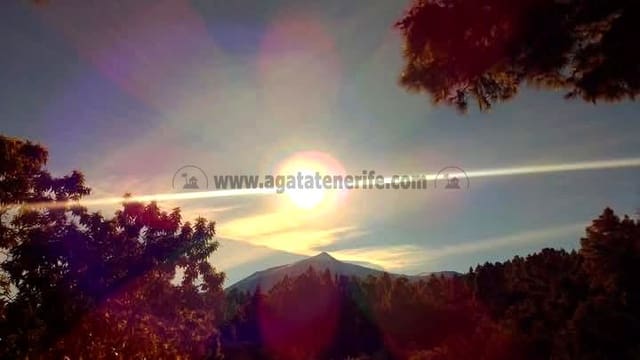 3 sovrum Finca/Hus på landet till salu i Icod de los Vinos med garage - 134 000 € (Ref: 8814213)