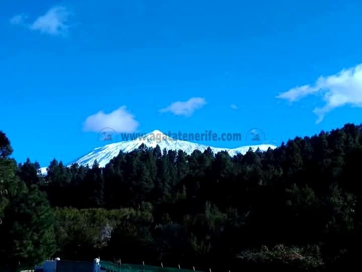 3 soverom Finca/Herregård til salgs i Icod de los Vinos med garasje - € 134 000 (Ref: 8814213)