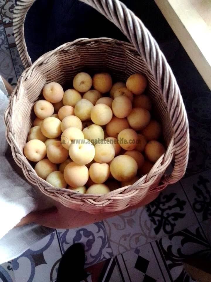 3 soverom Finca/Herregård til salgs i Icod de los Vinos med garasje - € 134 000 (Ref: 8814213)